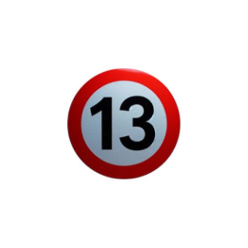 13Choices Logo